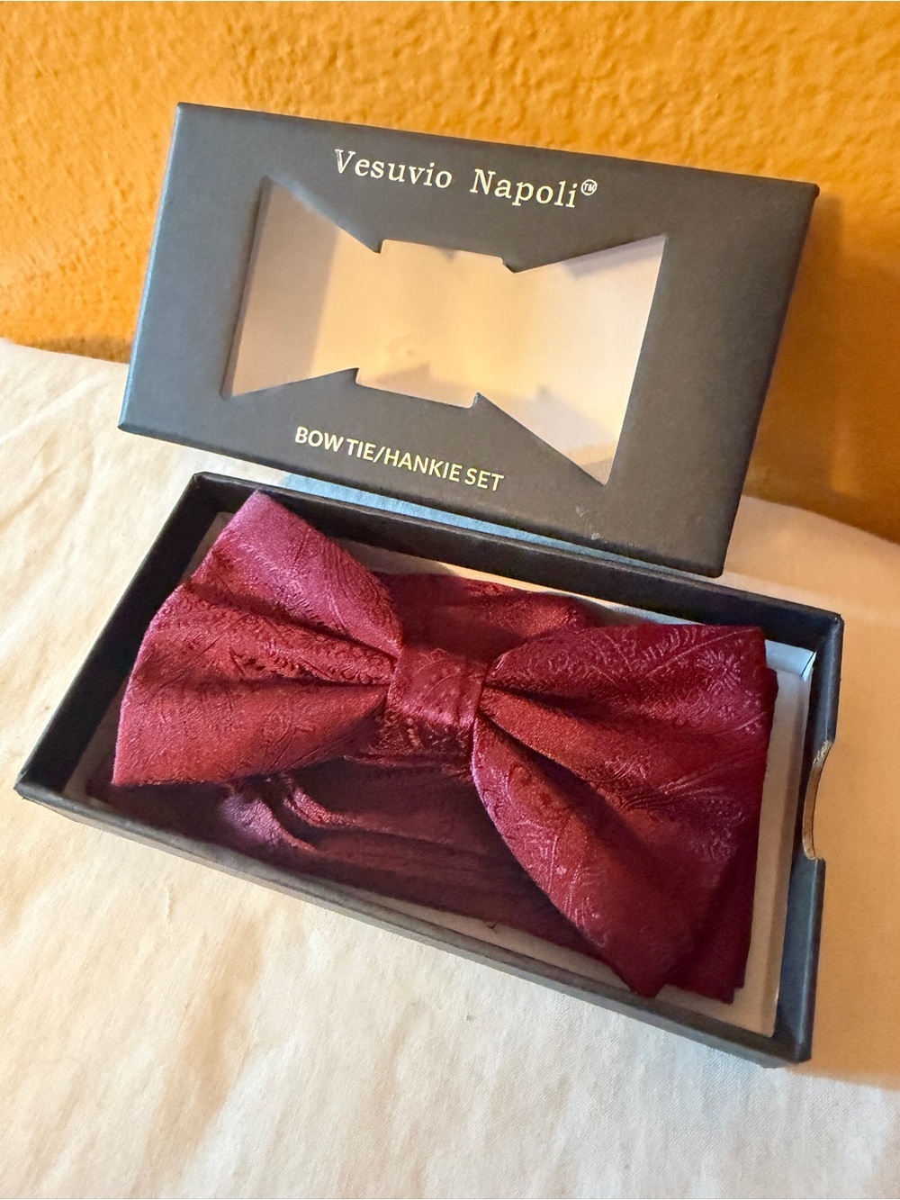 Men's Burgundy Bow Tie & Hankie Set